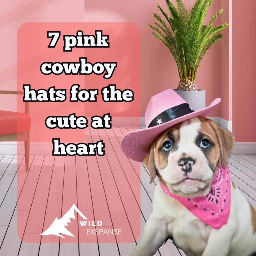 best pink cowgirl hats