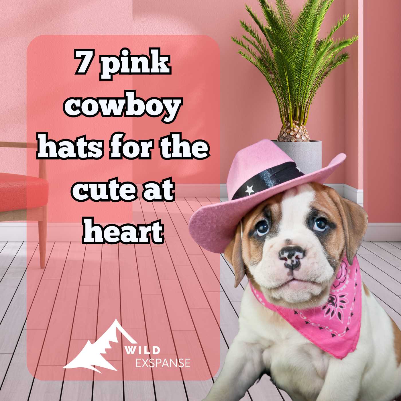 7-pink-cowboy-hats-for-the-cute-at-heart-in-2023-wildexpanse