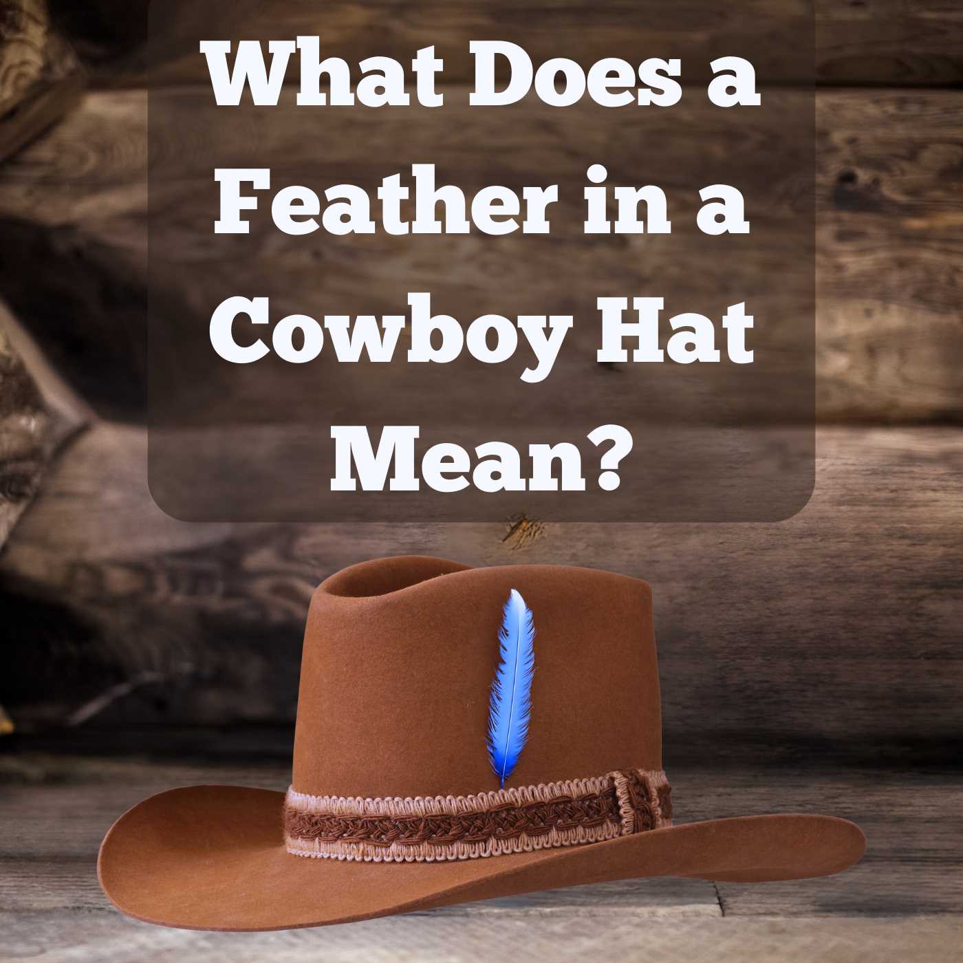 What Does A Feather In A Cowboy Hat Mean What You Need To Know 