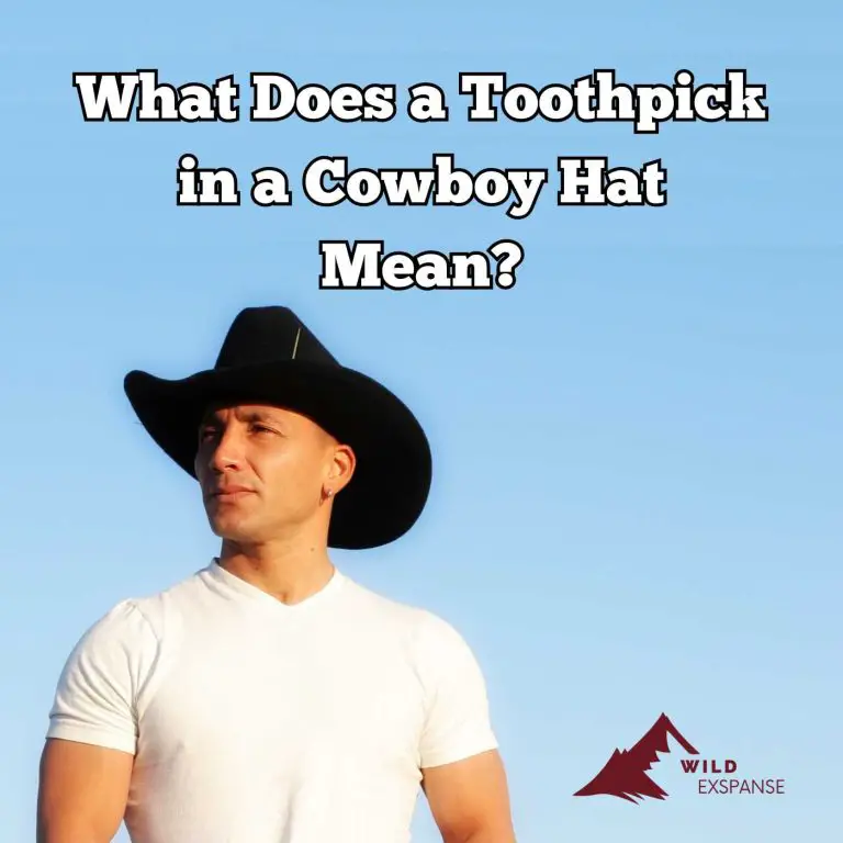 what-does-a-toothpick-in-a-cowboy-hat-mean-here-s-the-lowdown