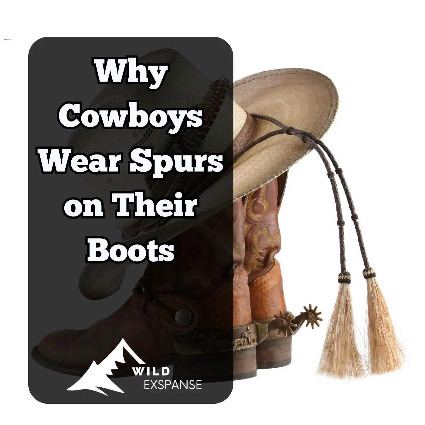 Why Cowboys Wear Spurs on Their Boots: A Brief History - wildexpanse.com
